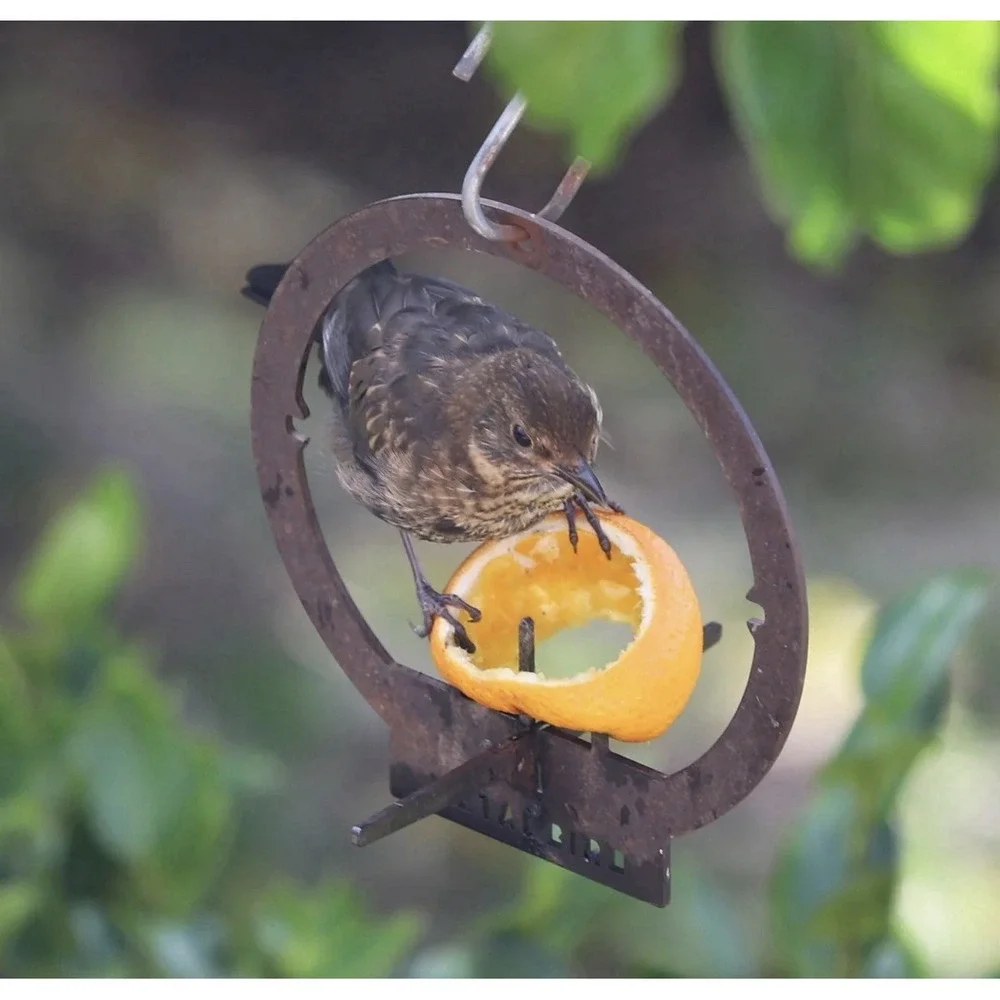 Metalbird‎ Hanging Bird Feeder Outdoor Tree Corten Steel Art Nature Gift USA NIB
